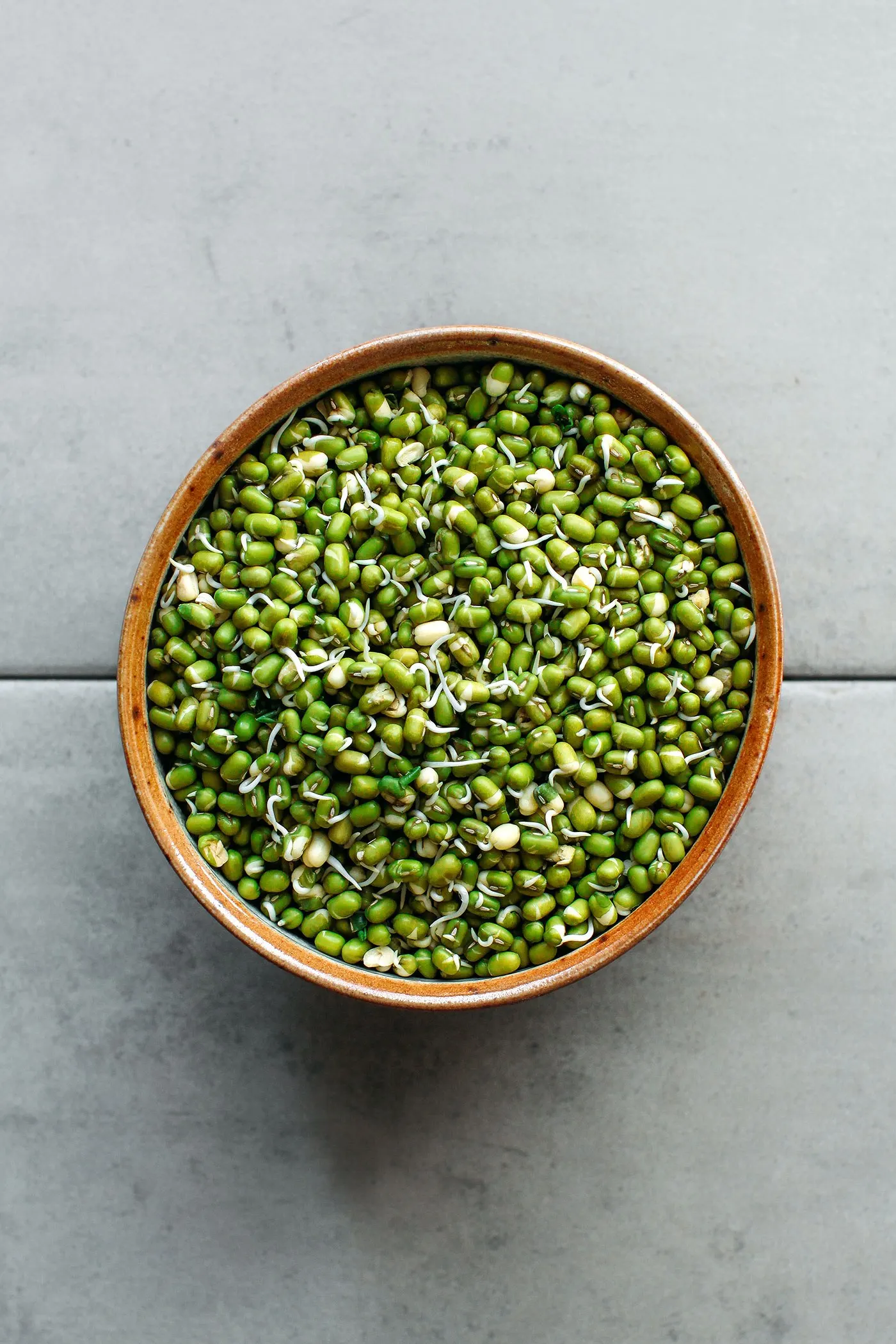 Wholesale Natural Organic High Quality Green Mung Beans For Sprouting Green Vigna Beans Green Gram Beans