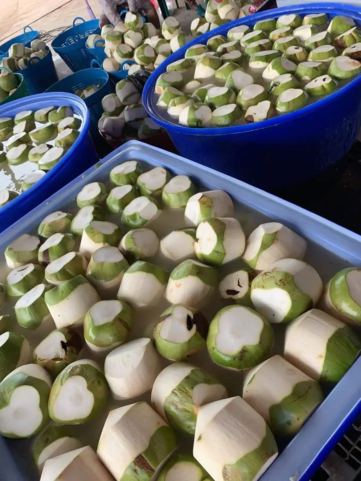 Поставщик тропических фруктов/кокосового молодого частичного зеленого очищенного кокоса/молодой очищенный кокос из Вьетнама (Whatsapp 84 366 808