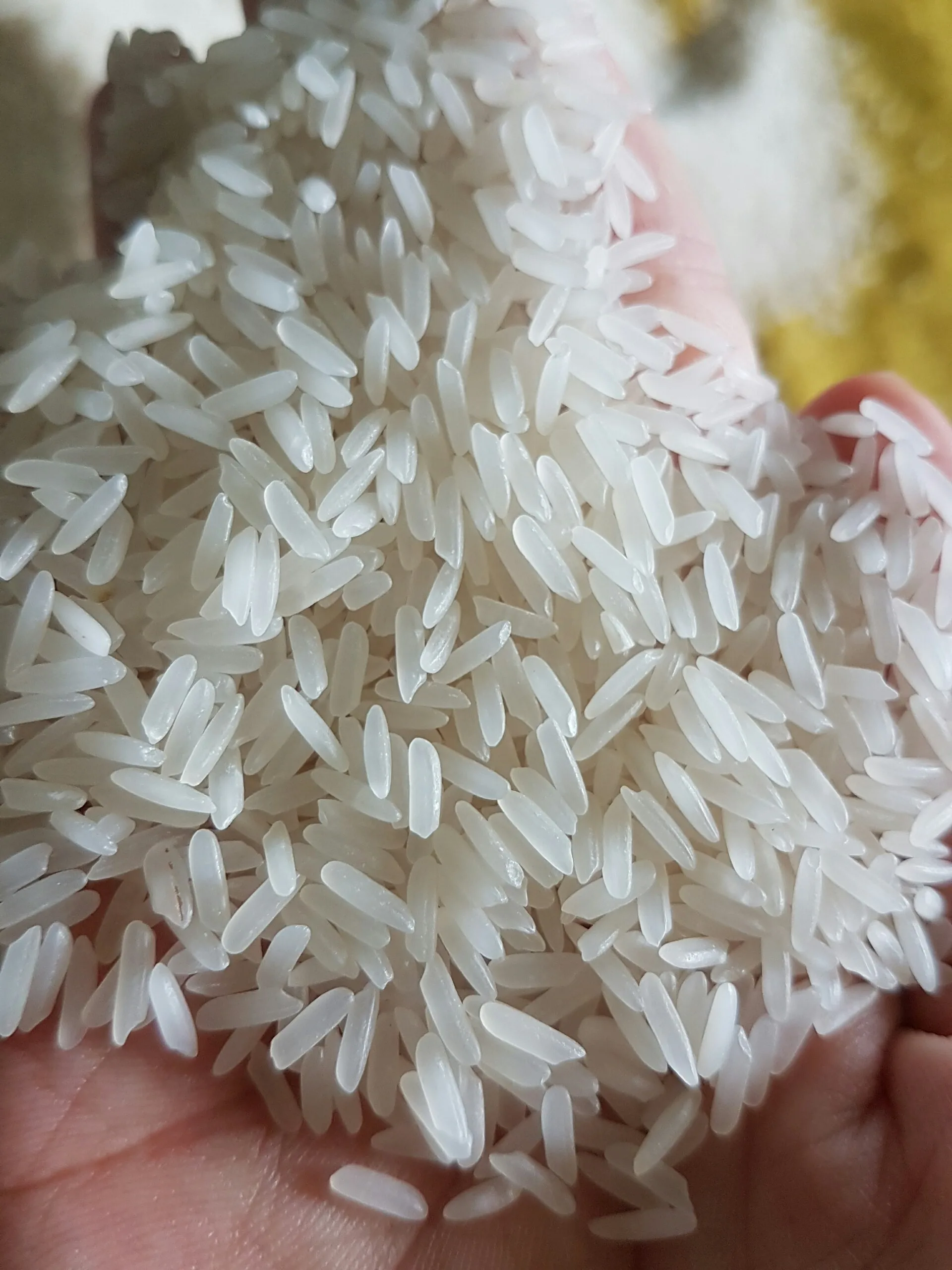 Premium Jasmine Fragrant rice Scented rice 5% 15% 100% broken white rice Riz perfume au jasmin/KDM rice -ANNA DO W/A+84982153058