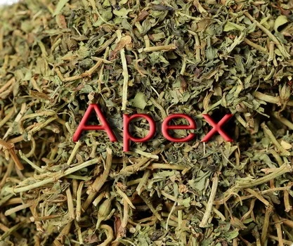 Bacopa Monnieri Bacopa Jal Brahmi Whole Plant dried Bramhi Herb