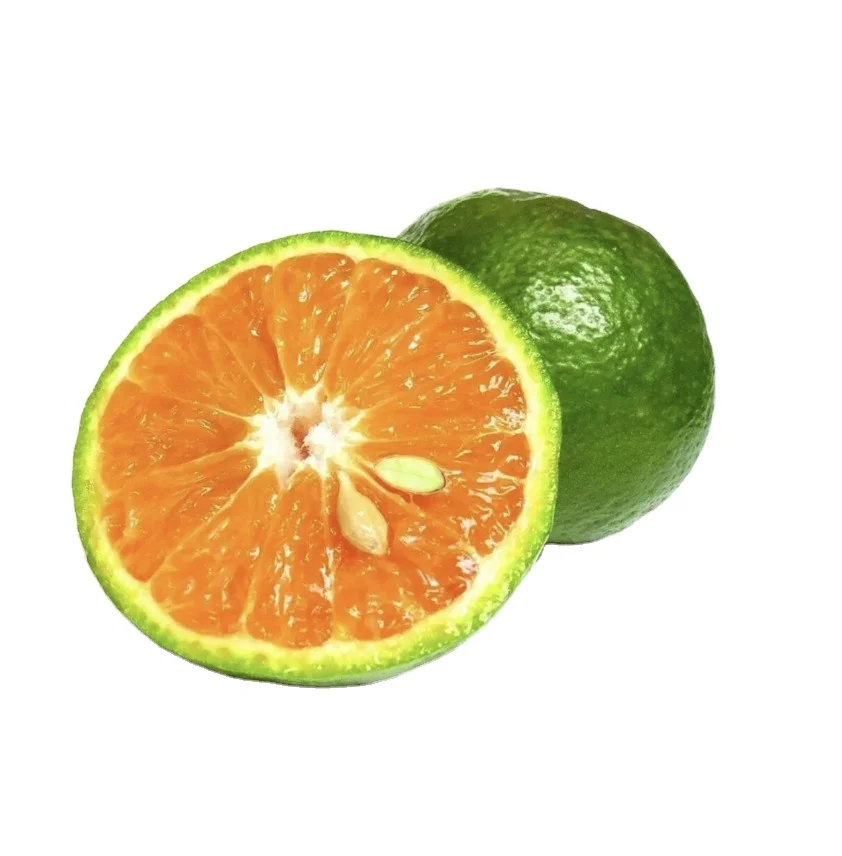 Vietnam Fresh citrus origin Domestic price export quality Fresh oranges with yellow flesh green skin export high quality