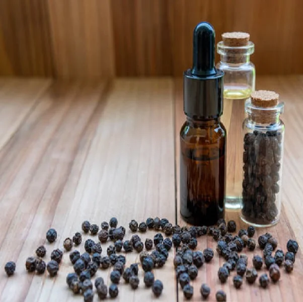 Natural Black Seed Oil (Edible Grade) at Wholesale Price