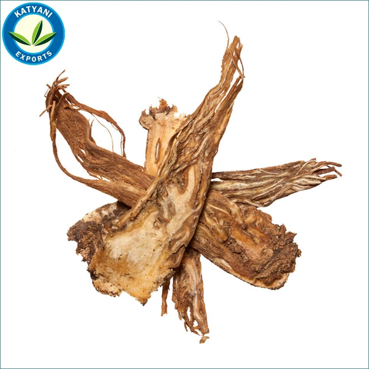 Standard Quality Bulk Selling Pure And Natural Angelica Root Essential Oil for Bulk Purchase