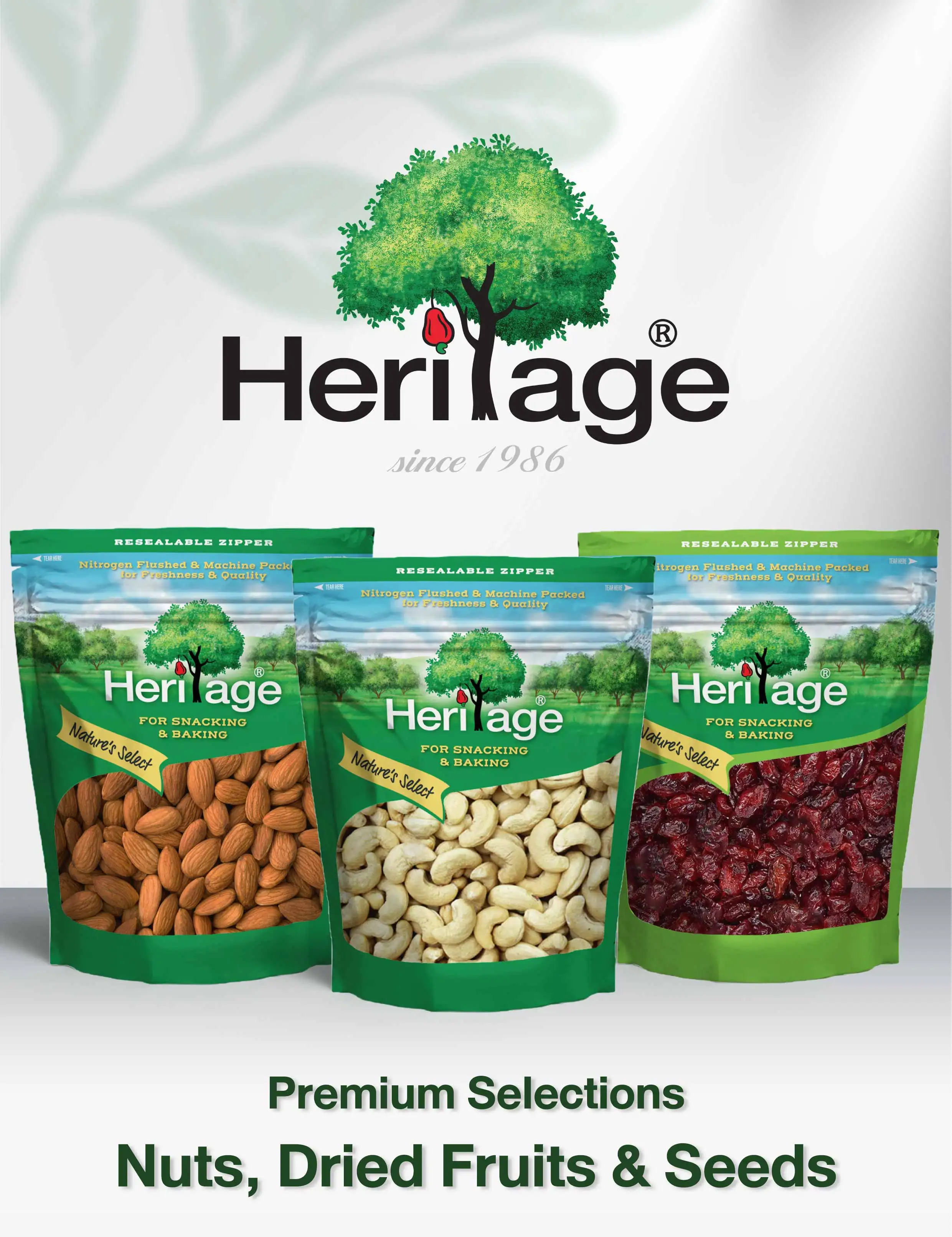 Wholesales A Grade Heritage Thompson Seedless Raisins 1000 g for Snaking and Baking from Sweet Taste Thailand