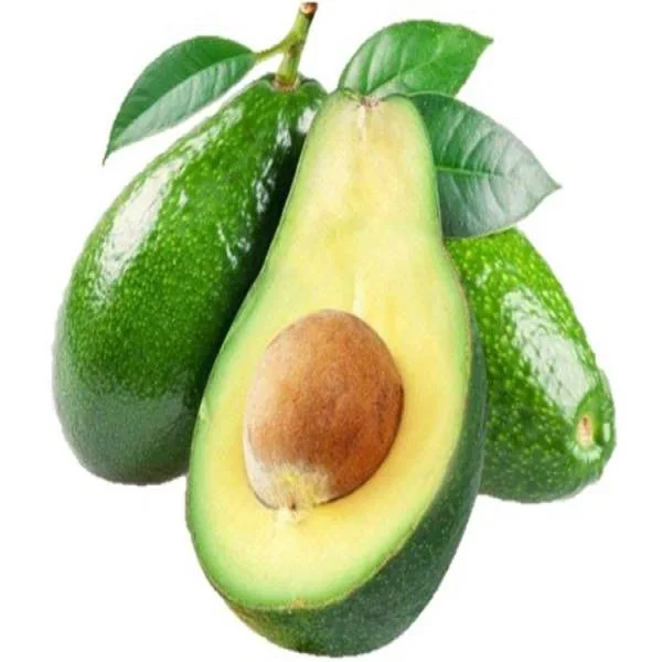 Cheap Fresh Avocado Made In Thailand and Vietnam For Export With The Best Price Standard High hass avocado