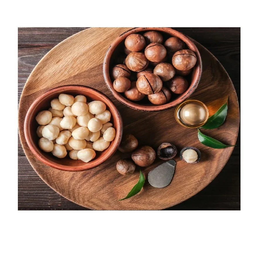 Macadamia Nuts Wholesale High Quality Organic Ready To Eat Healthy Food. Oem Service From Manufacturer