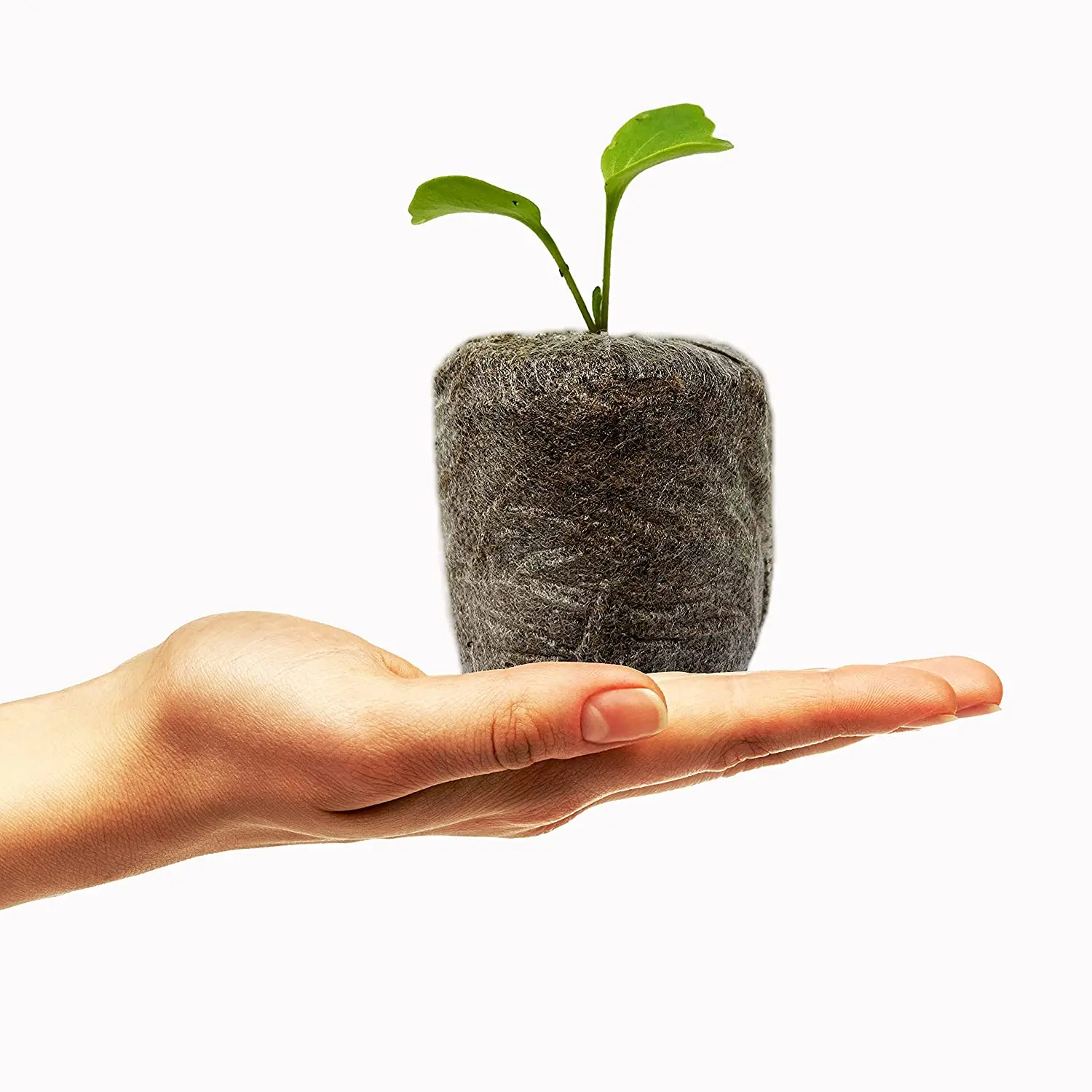 Биоразлагаемые кокосы торфяные гранулы