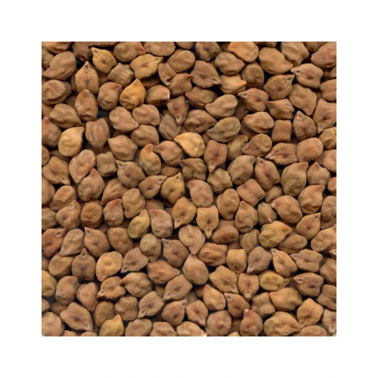 7mm - 9mm Kabuli Chickpeas Desi Chickpeas For Low Affordable Prices