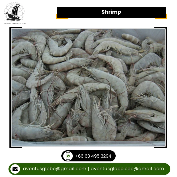 New Arrival Highest Quality Highly Nutritious BQF Freezing Process Seafood Frozen Shrimp Fish for Sale