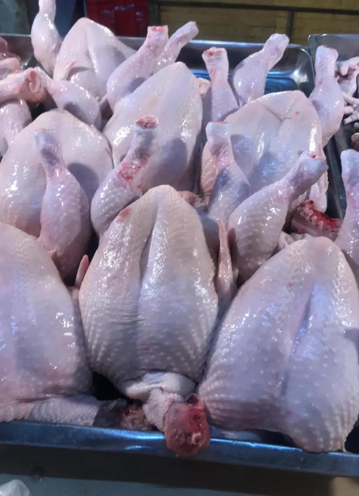 Лучшее качество халяльная курица замороженная в панировке для продажи