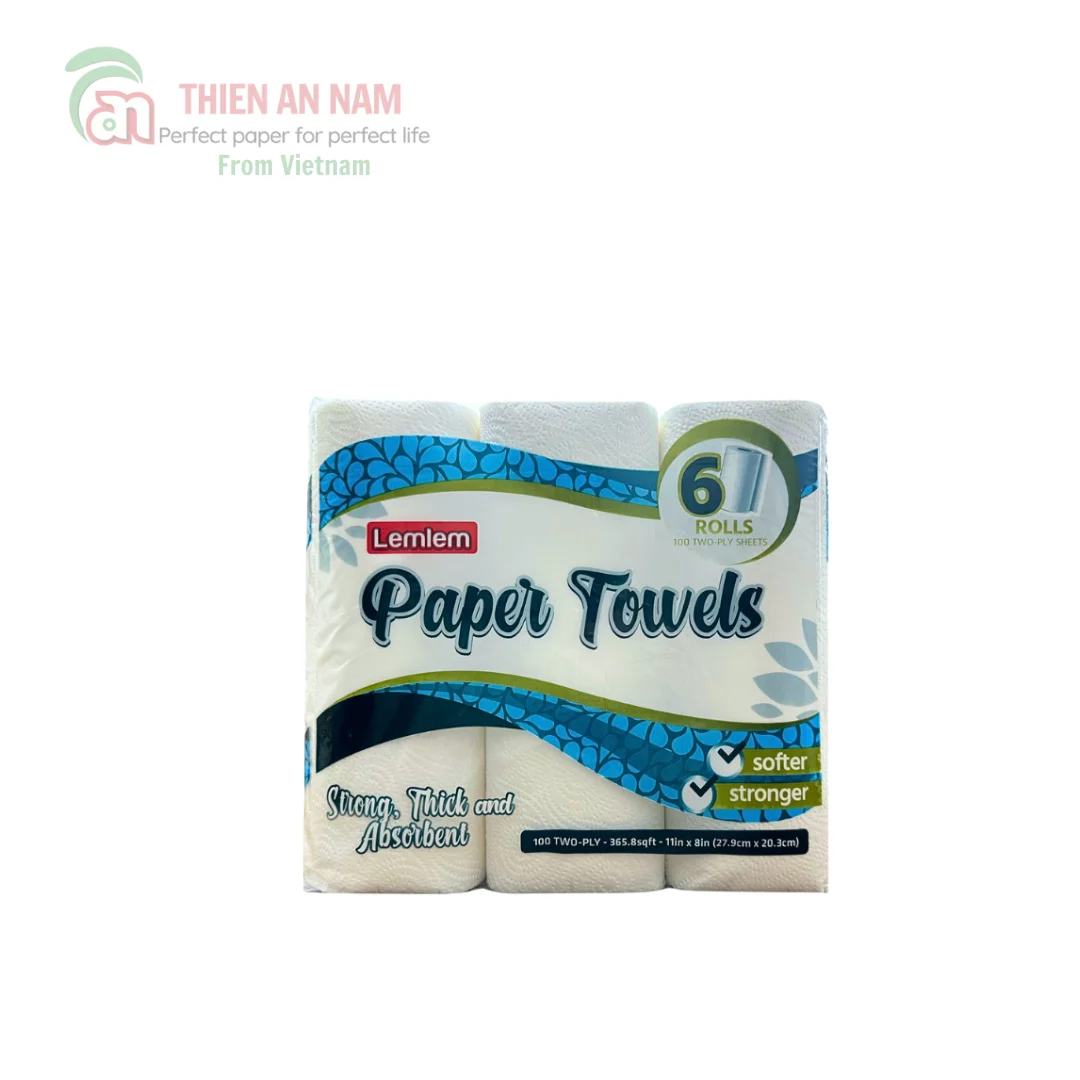 Premium 2-Ply Durable Paper Towel Roll Sanitary Toilet Tissue for Kitchen and Toilet Use