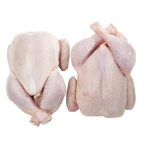 TWIN-PACK-CHICKEN.jpeg