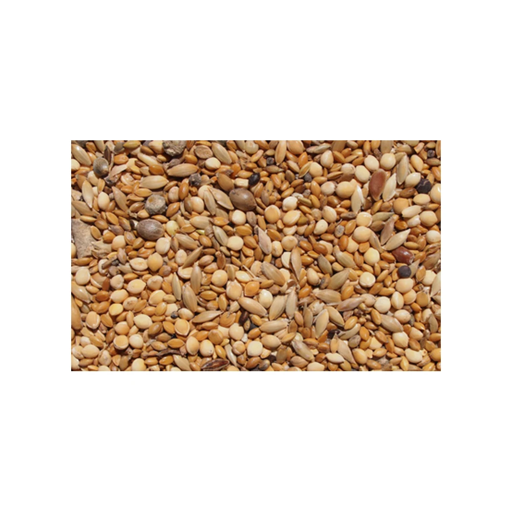 Best Quality Pet Food Bird Seed Feeder Pigeon Food Natural Mix Seed Fresh Bulk Style Storage Packing