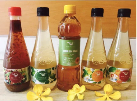 Made in Vietnam Competitive price 100% naturally fermented DOCYNIA  FRUIT VINEGAR 450ml