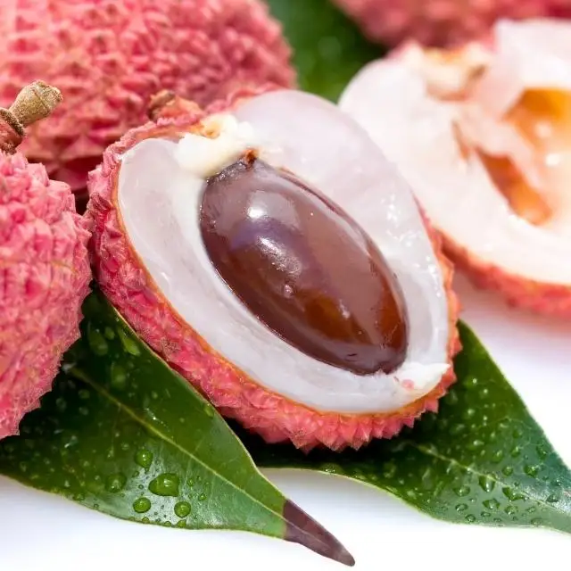 BEST FRUIT IN VIETNAM LYCHEE, GLOBAL GAP CERTIFICATE