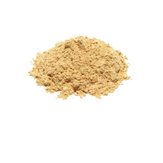 Best Selling High Grade Amla Extract (phyllanthus emblica) Powder Fully Organic Powder Low Prices By Exporters