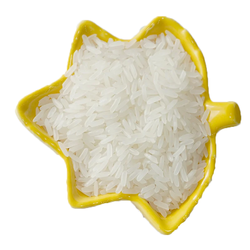 Fast delivery  Short-Grain White Rice 100% Organic Good Price from Viet Nam Jasmine Rice for sale