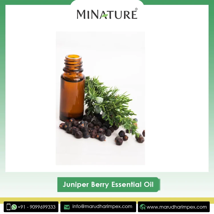 2023 Top Selling Expert Quality 100% Natural and Pure Juniper Berry Seed Extract Essential Oil at Wholesale Price