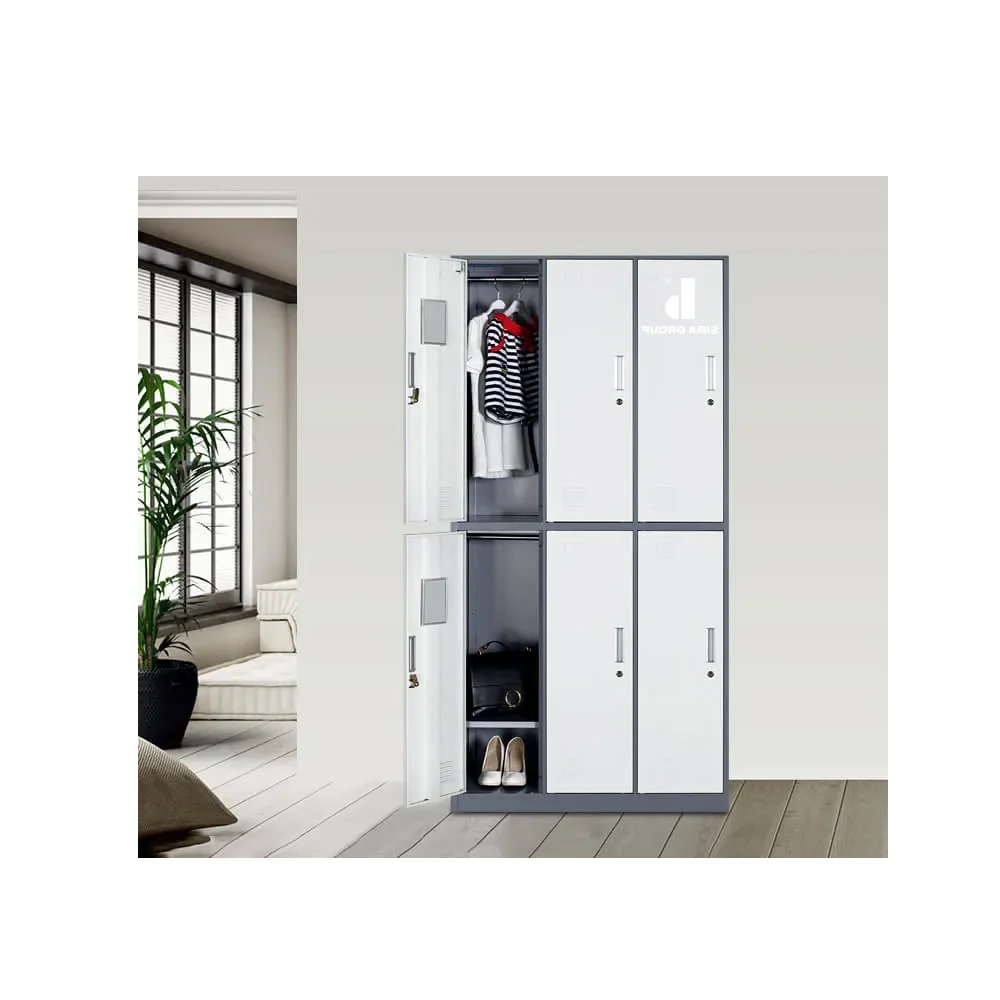 Customized Logo Office/Changing Room/Gym Equipment Modern Clothes Steel Metal Lockers with 6 Compartments from Vietnam