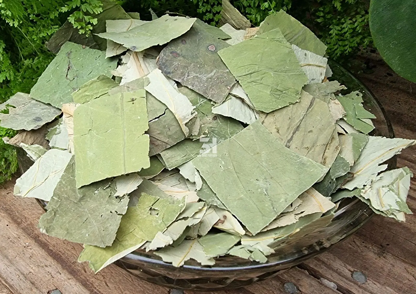 Vietnam Dried Lotus Leaves in Bulk Ready to Ship with Good Price (Ms. Nancy - +84981859069)