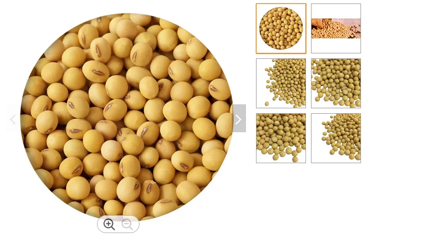 Soybean non GMO bulk supply