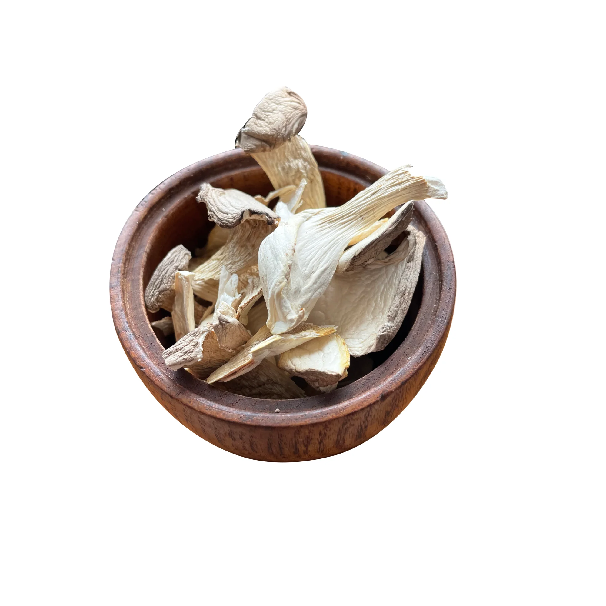 Great texture king trumpet eryngii exotic dried mushroom