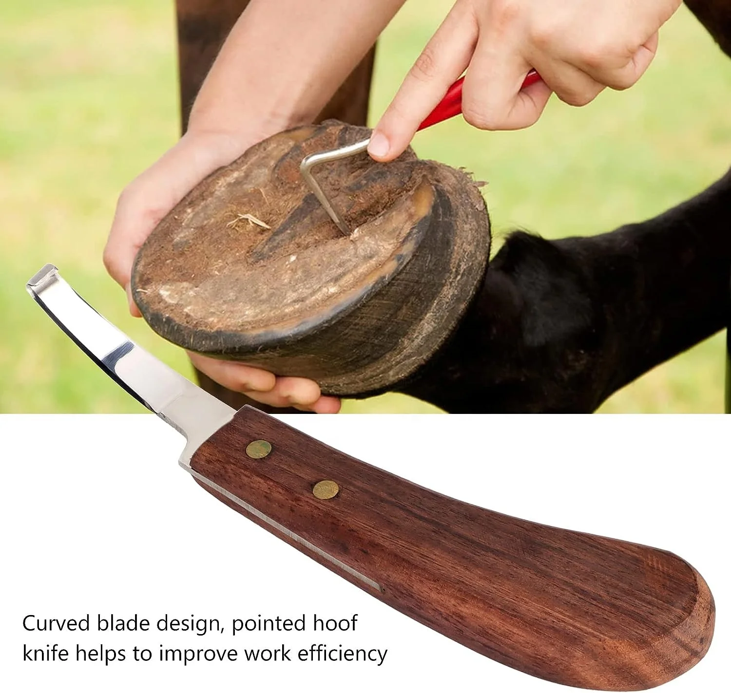 Hoof Knife Stainless Steel Super Sharp Ergonomically Double Edge Right Left Hand with Wooden Handle Farrier Tools for Horses