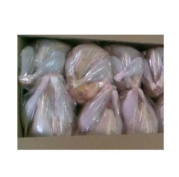 Lowest Price Frozen Whole Chicken Premium Quality Bulk Quantity For Exports From Europe