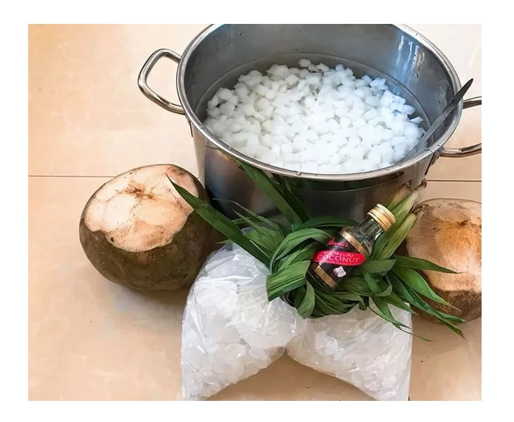 Nata De Coco-высококачественное кокосовое желе-вкусный Кокосовый Крем-сырое и сироп-от поставщика Вьетнама