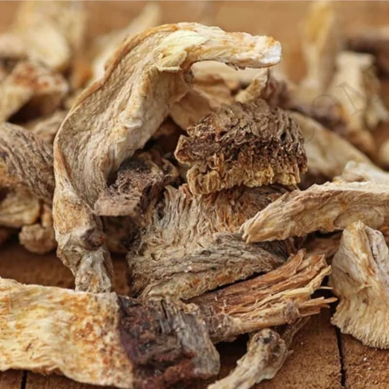 Anti-Inflammatory Natural and Organic Angelica Oil helps to reduce Skin Inflammation from India at very low price