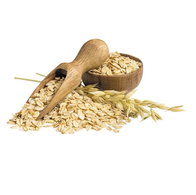 Top Quality Cereal Grains Oat Grains  At Cheap Price