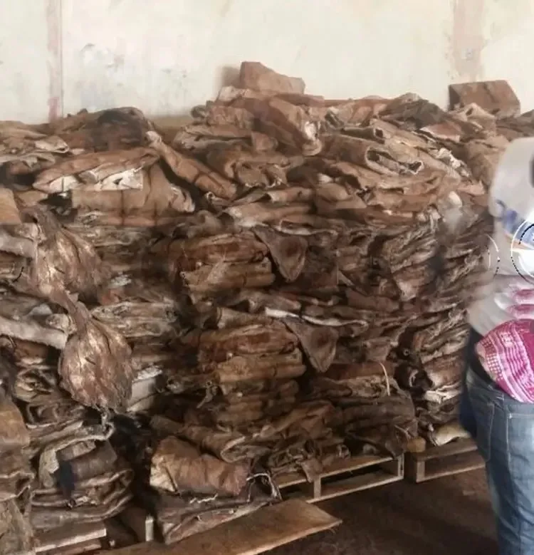 WET SALTED COW HIDES FOR EXPORT Raw Wet Salted Cow Hides Natural Cow Skin Leather Color Genuine Leather Handbag OEM Surface