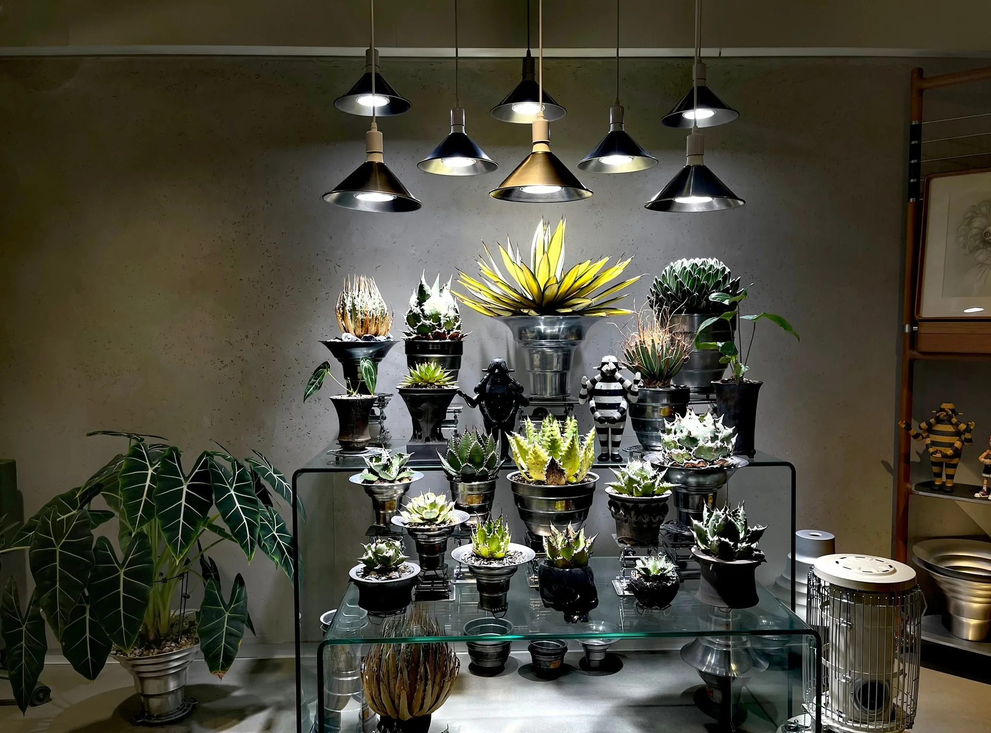 Full Spectrum E26 Par30 CRI 98 COB plant led light spot grow