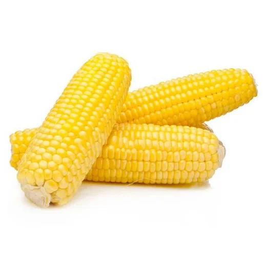 Yellow corn Maize - Wholesale Canadian Sweet Yellow Corn For Animal Feed