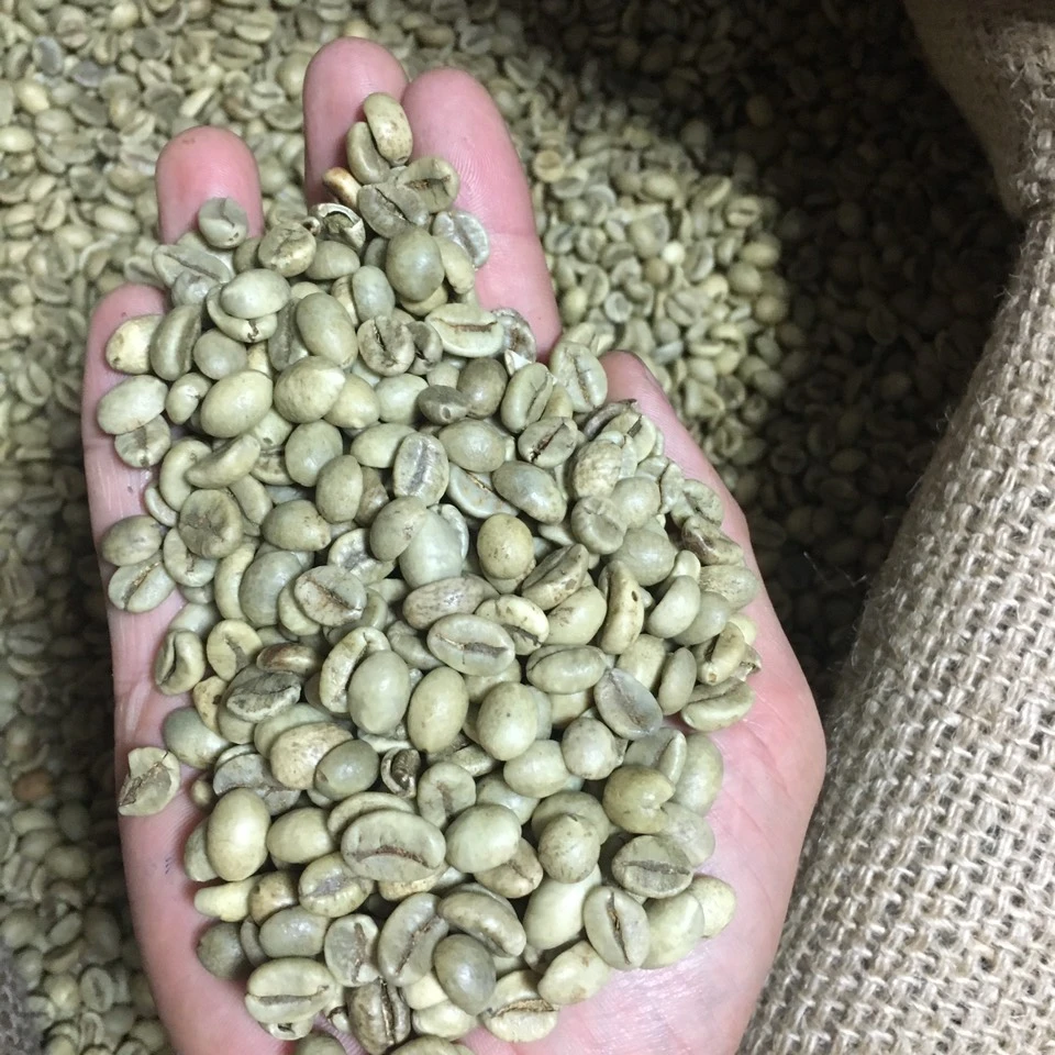 Арабика кофейные зерна зеленые