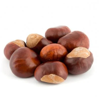 New Season Chinese Fresh Chestnut Chestnuts fresh for export Hot sell Raw Chestnuts