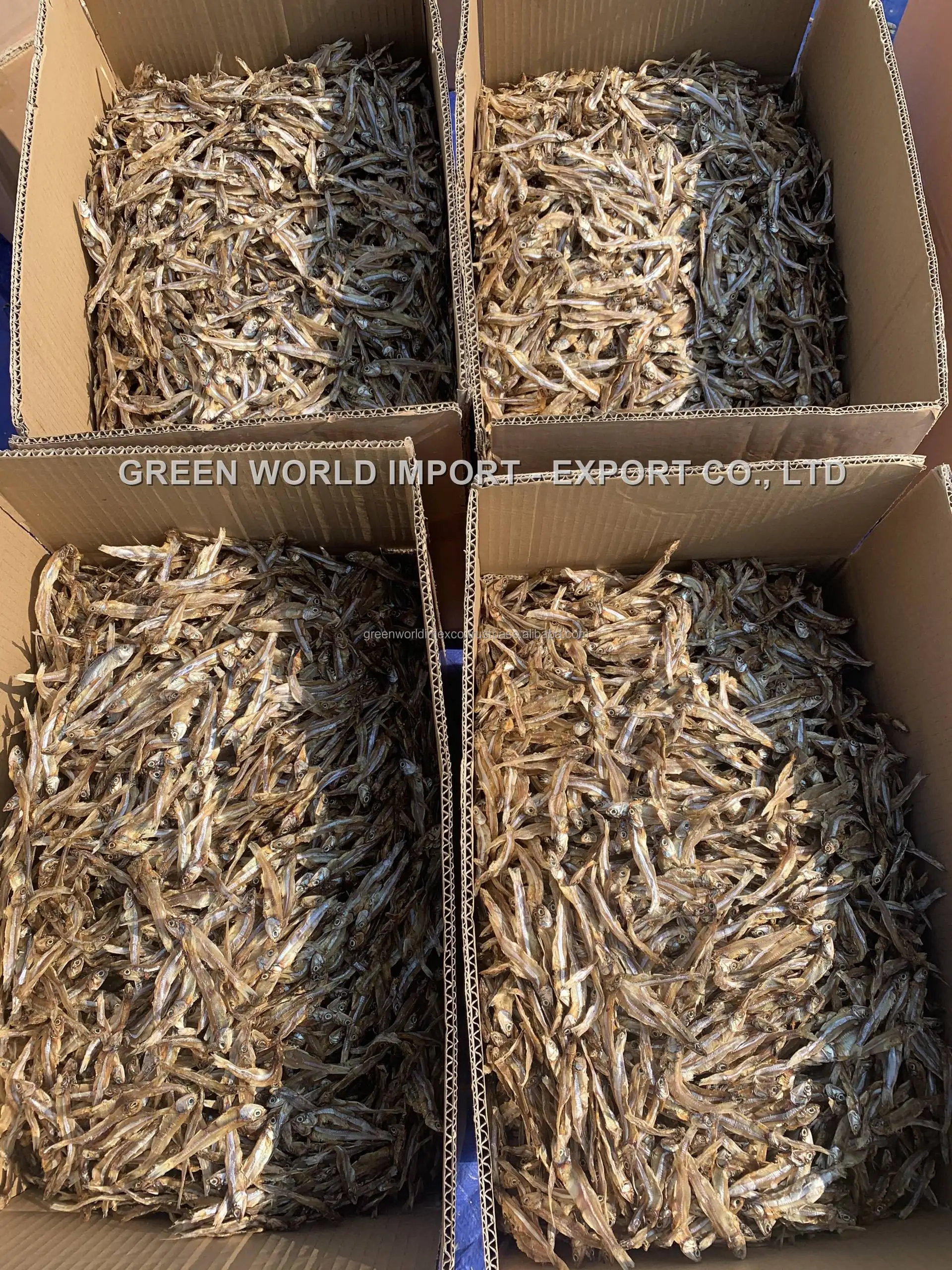 DRIED ANCHOVY FROM VIETNAMESE WHOLESALER - DRY ANCHOVY WITH BEST PRICE AND PREMIUM QUALITY - ANCHOVIES DRIED FOR FOOD