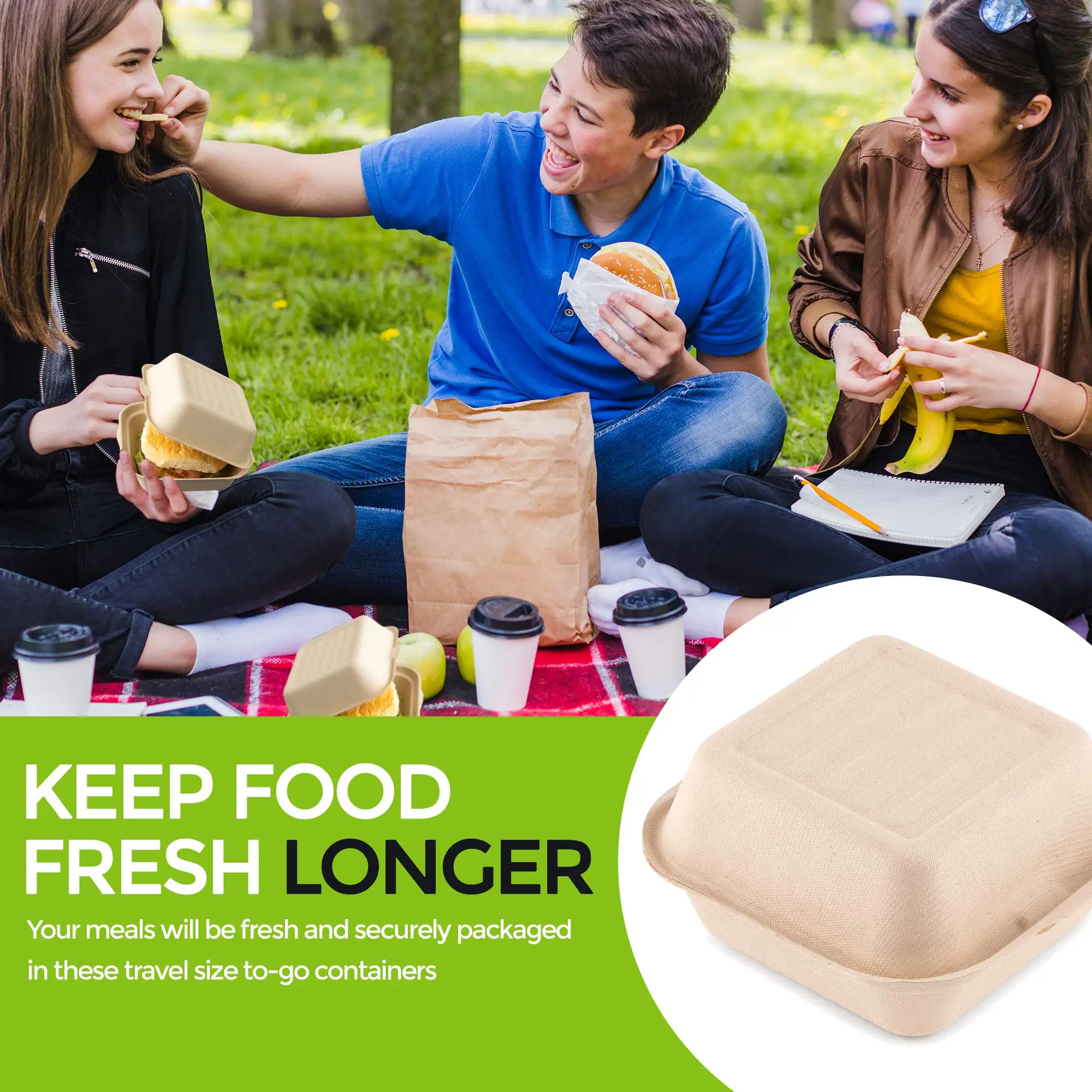 Blister Packing Freezer Safe Food Takeout Food Containers With Logo