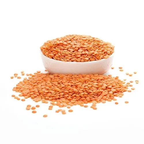 Affordable High quality red lentils red lentils price red lentils for sale