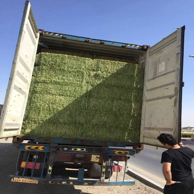Super High Quality Timothy Hay/Alfalfa Hay Pellets in Bales Best Animal Feeding Stuff for Cattle Horses Made Soybean Packed Bags