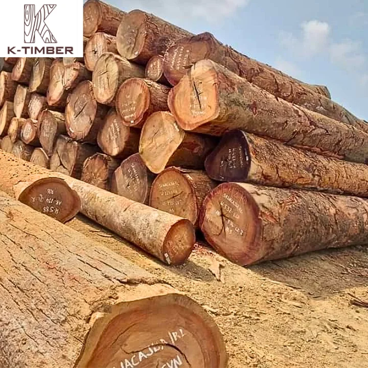 Natural wood logs wood raw materials african oak wood Iroko Sawlogs/ Round Logs wholesale Angola construction flooring building