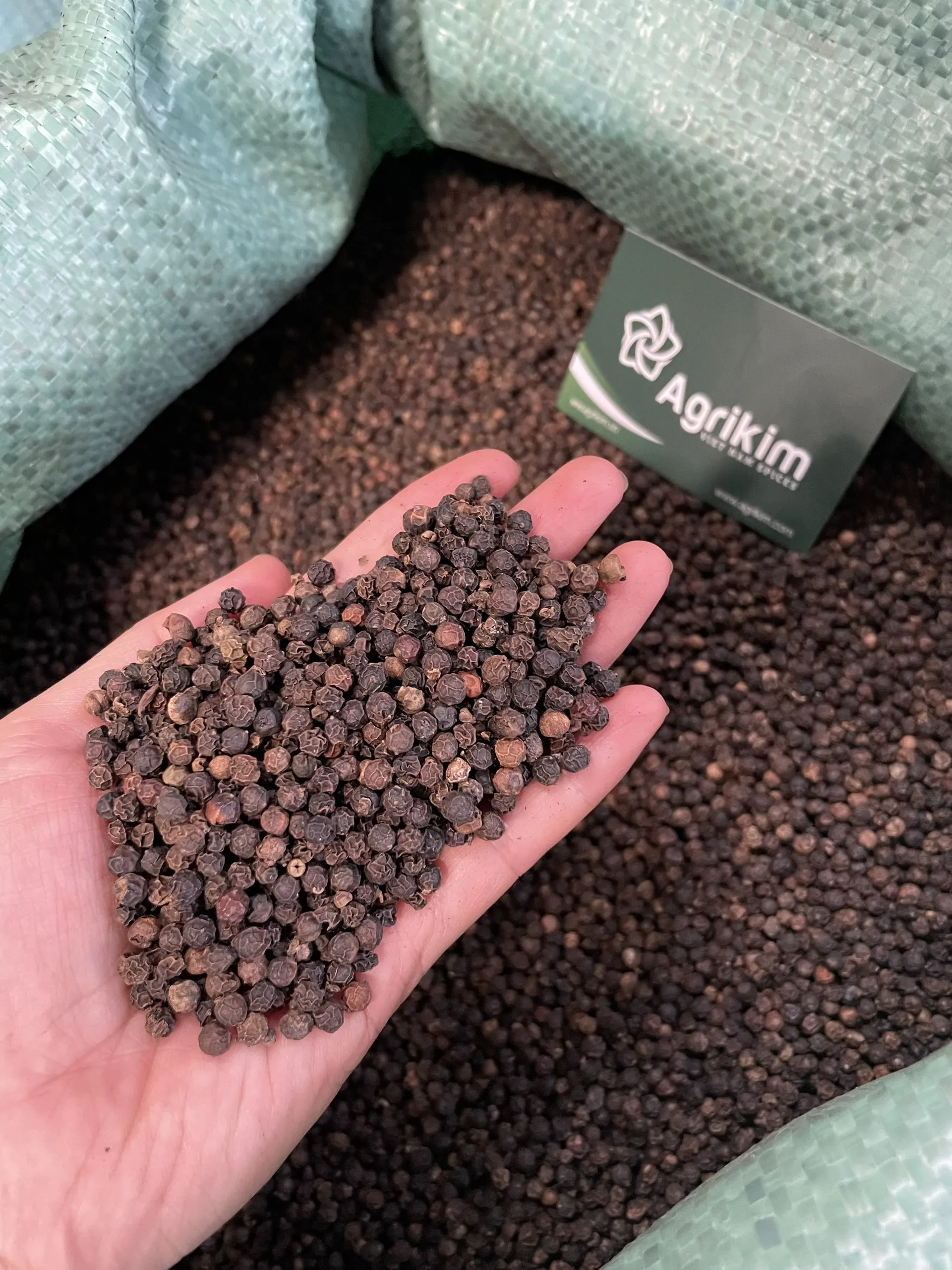 High Quality Black Pepper FAQ or ASTA/MC 200/300/400/500/550/570/580/600 GL the best price from Vietnam supplier  +84 363 565928