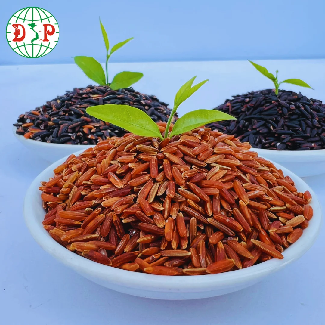 Red Rice From Viet Nam Cheap Price New Crop Ready To Export Food Rich Nutrition Organic Rice High Quality