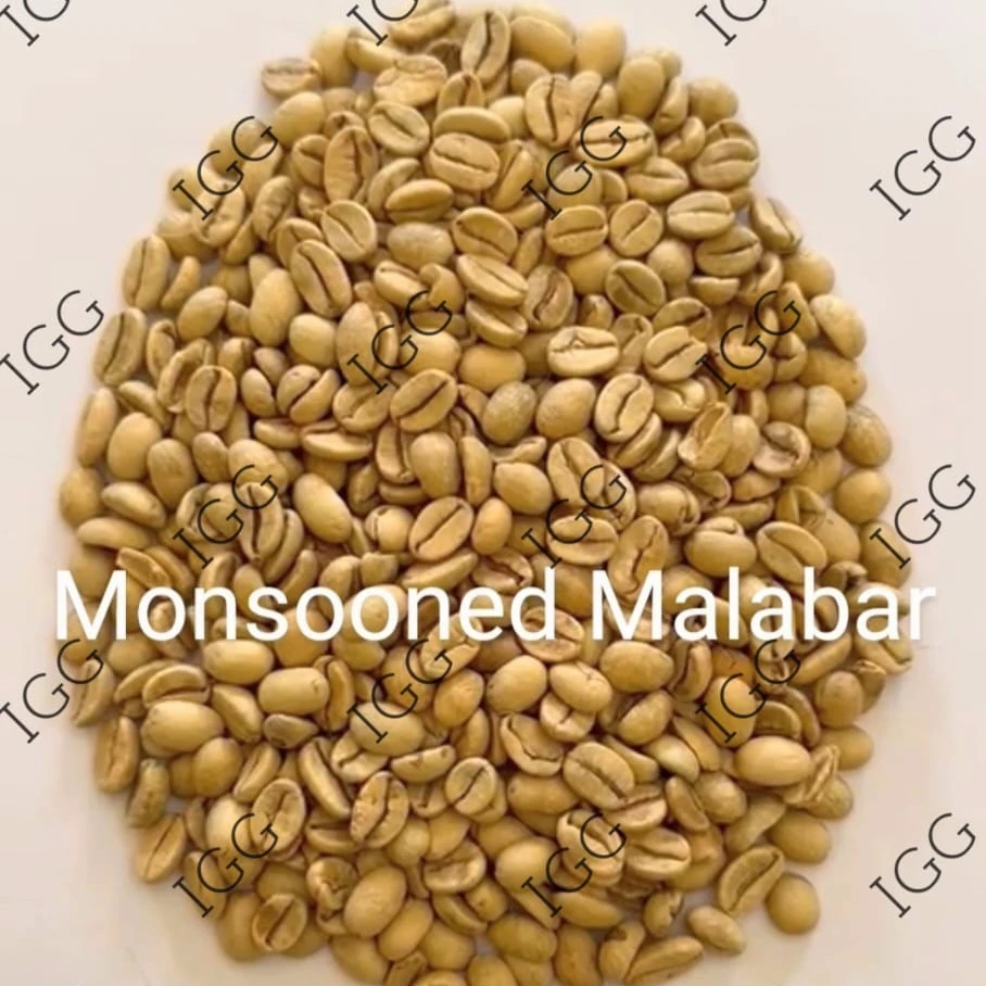 Индийские муссоные малабарские фирменные кофейные зерна, оптовая цена, доставка по всему миру
