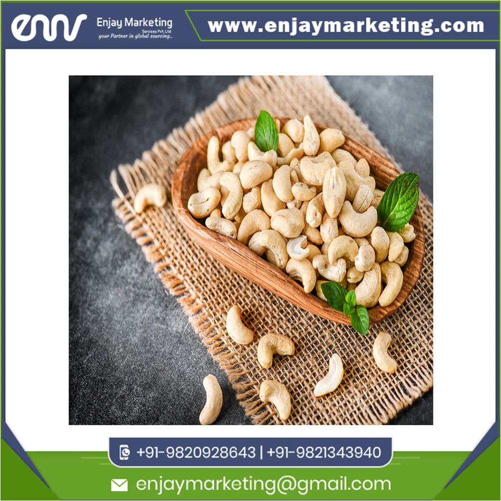 Good Quality Cashew Nuts W450 Vietnam Cashews Kernel For World Wide Selling At Special Price