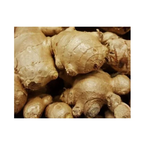 Новый Урожай свежего имбиря в хорошем вкусе, поставка желтого стиля, временной органический зазор, большой новейший вес, Вьетнам