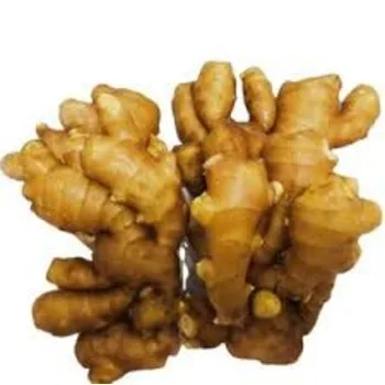 Ginger Fresh Vegetables Style Organic Weight Origin Type Variety ISO Place Model Cultivation