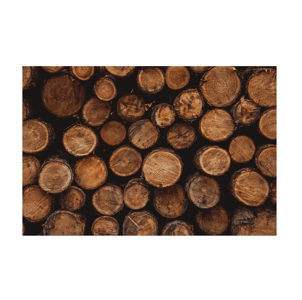 Top Quality Hard Wood Round Logs At Cheap Price