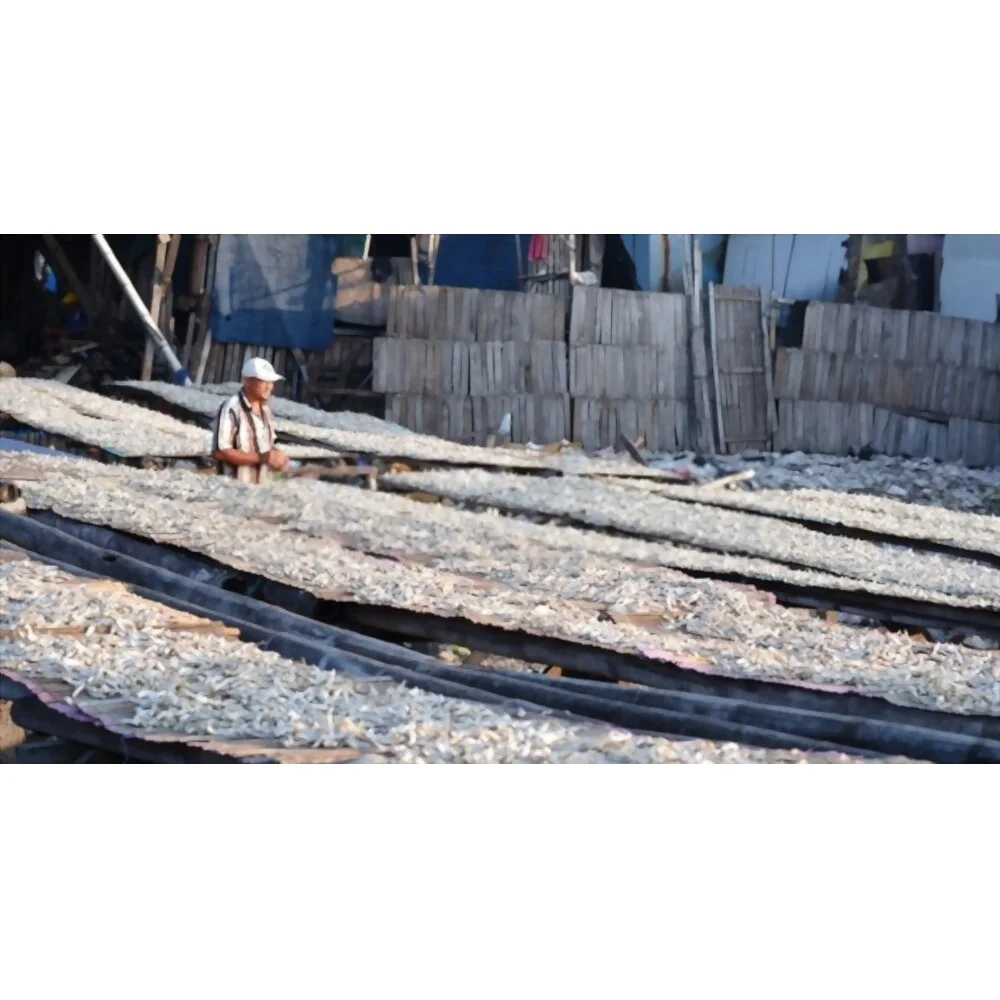 100% natural fresh anchovies Ingredients Sundry Bulk Dried Seafood Dried Salted Anchovies dry Anchovy