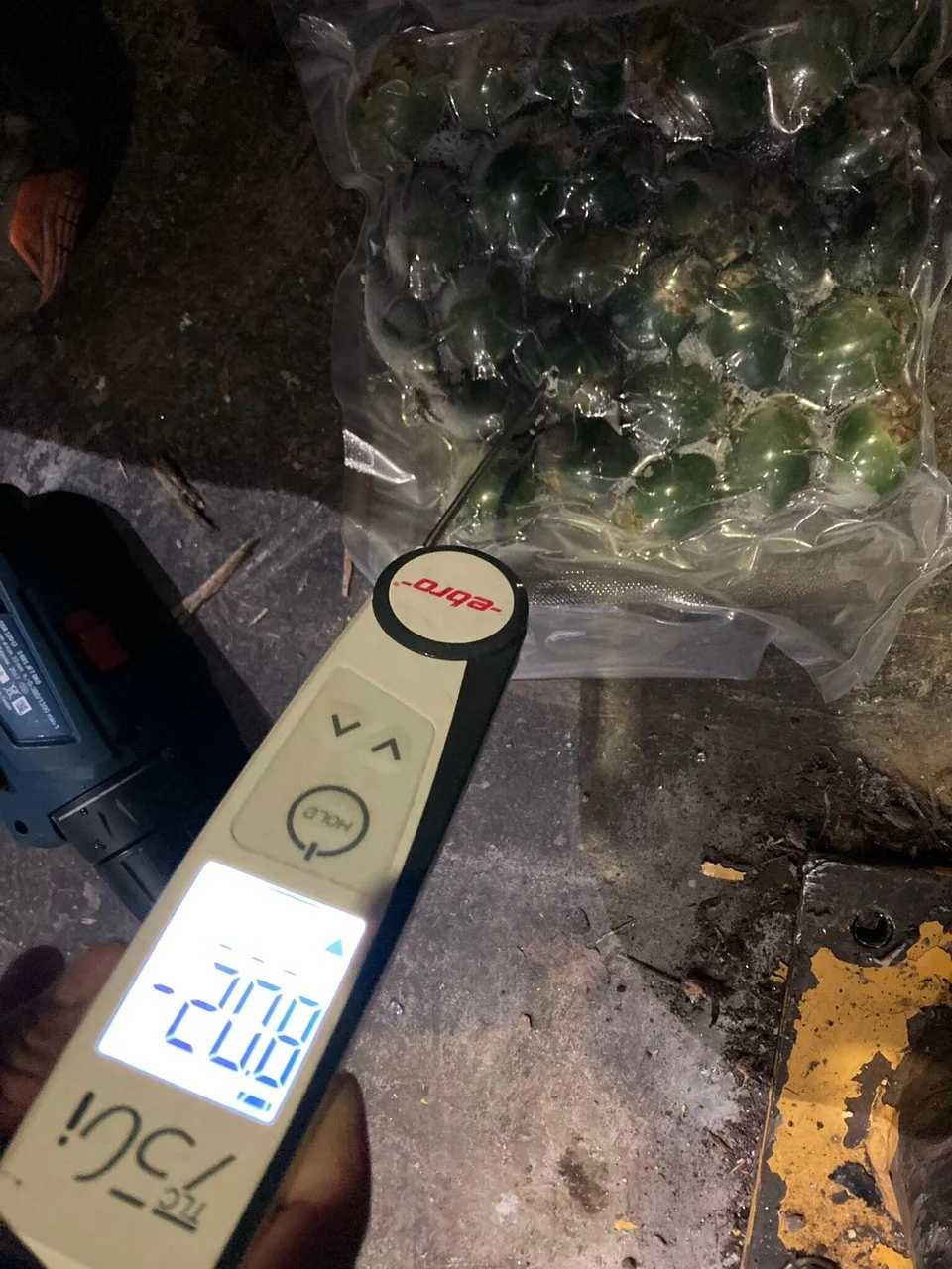 Высококачественные Замороженные гаечные орехи зеленые из Вьетнама Молодежные стандартный экспорт оптовая цена низкая